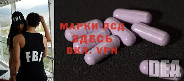 гидра Абаза