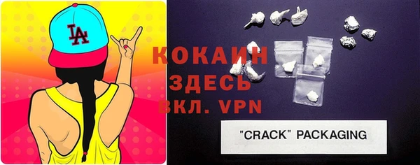гидра Абаза