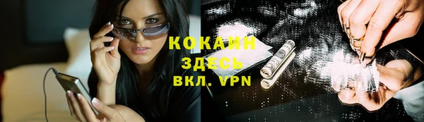гидра Абаза