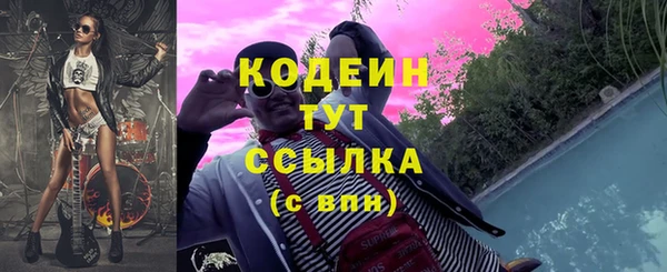 гидра Абаза