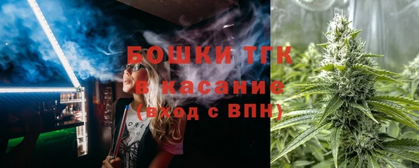 гидра Абаза