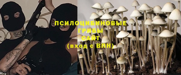 стафф Абдулино