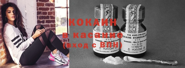 гидра Абаза