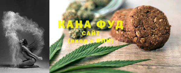гидра Абаза