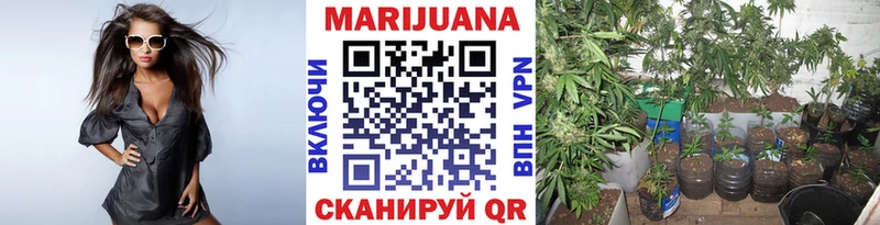 Марихуана THC 21%  Ильский 
